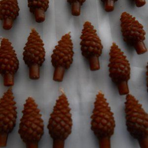 Tree shaped Wax Christmas Candles plus 8 Holders